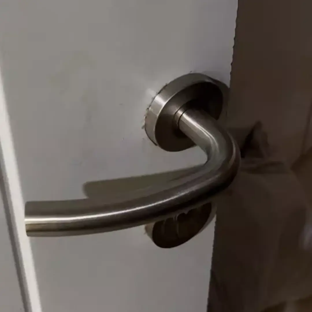 Zehn Handle Pintu Stainless