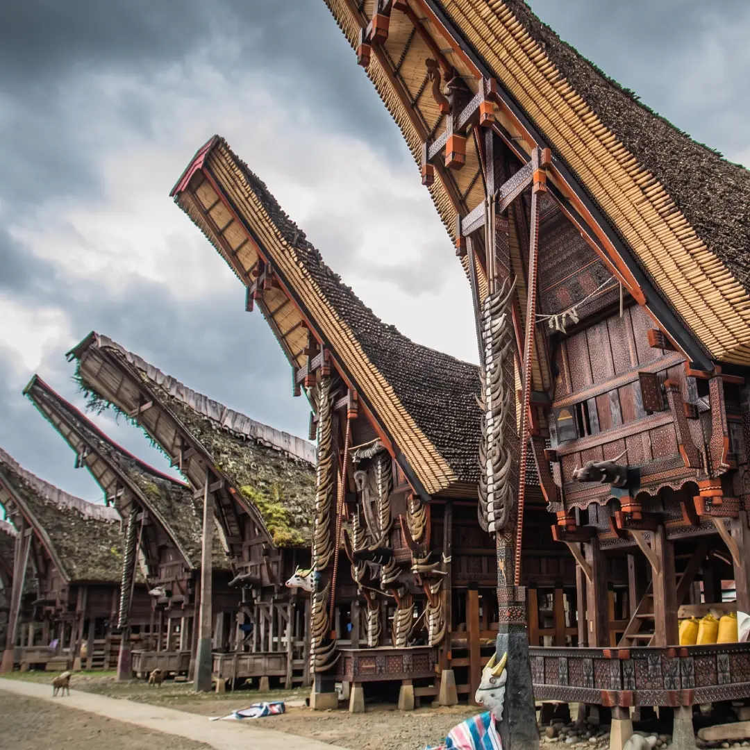 Tongkonan (Suku Toraja)